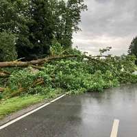 Web_Unwetter 2_2.jpg